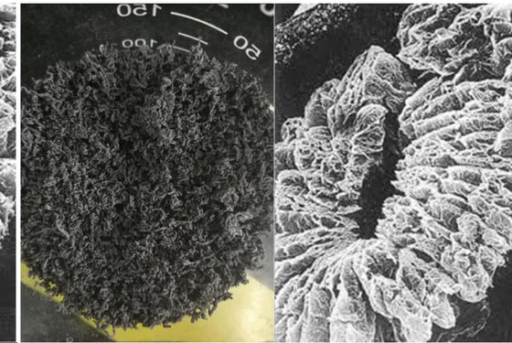 Natürlicher erweiterter Graphit Mesh High Carbons 98% der China-Hersteller-+80 Maschen-+100 benutzt in der Maschinerie