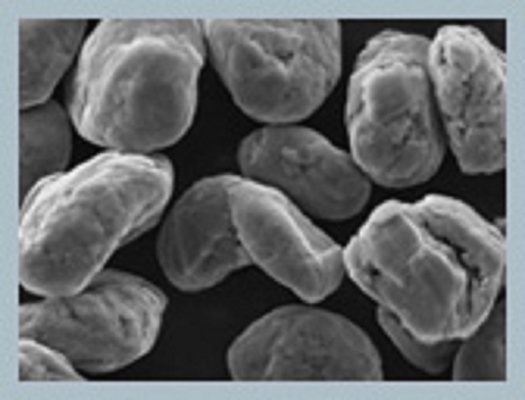 0,5% hoher Kohlenstoff 0.9-1.05g/Cc Feuchtigkeits-Li Ion Graphites 5um-25um 97-99.98%