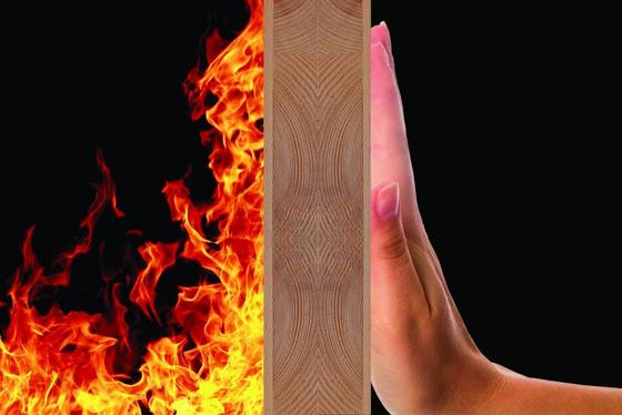 Expansionsverhältnis 270/g Min Expandierbares Graphitpulver